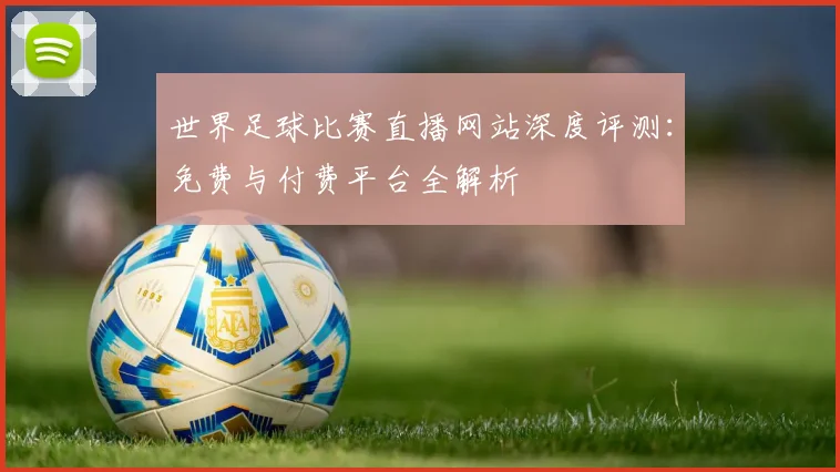 世界足球比赛直播网站深度评测:免费与付费平台全解析