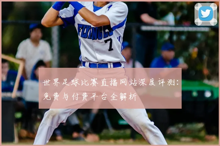 世界足球比赛直播网站深度评测:免费与付费平台全解析